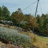 Reedy River Falls Park