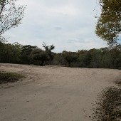 Martin's Landing
