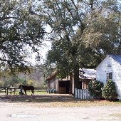 Stono River Stables