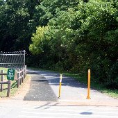 Swamp Rabbit-Westfield