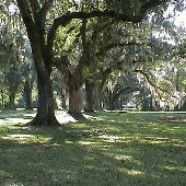 Boone Hall Plantation (November Looks)