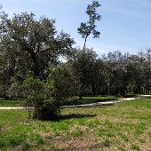 Francis Marion National Forest - Recreation Area