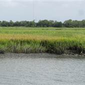 Creek @ Mithoefer Dock House (Sul Isl) in August
