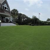 Sullivan's Island - Harbor Beach House Lawn
