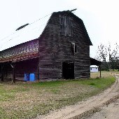 TC Moss Farms