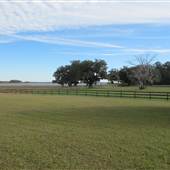 Ashe Point Farm - December Look 2011