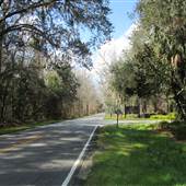 Magnolia Plantation & Gardens FEBRUARY  - Driving Shots