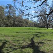 Boone Hall Plantation - Field at Front Entry - MARCH