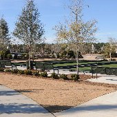 Del Webb Charleston - Bocci Ball