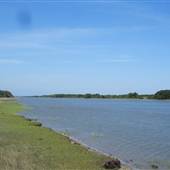 Awendaw Future Park Site - Dock in May