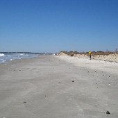 Folly Beach County Park - Deserted Areas - Mid March 2010