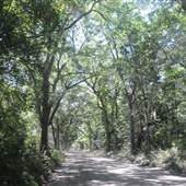 Botany Bay - Botany Bay Road