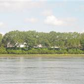 Cooper River - State Ports to Bushy Park