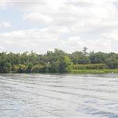 Cooper River - Pimlico to Mepkin Abbey