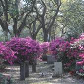 New Wappetaw Cemetery