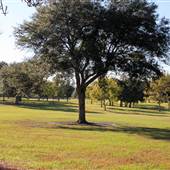 Longwood Plantation - Pasture, Pond, Punkin Hill, Rice Fields