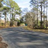 Edisto Island - Laurel Hill Road