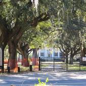 McLeod Plantation - Wooded Area