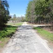 Farrow Rd. Mental Health Tree Lined Road