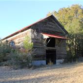 Point Farm - Grounds