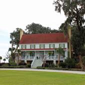 Red Bluff Plantation - 2015