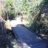 Charles Towne Landing Zoo