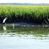South Carolina Beauty Shots