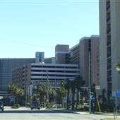 Ocean Blvd Hotels