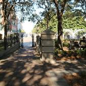 Charleston Waterfront Park - Nov 18 2016