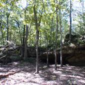 Peachtree Rock