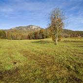 Table Rock - Back Park Road