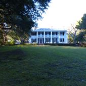 Cedar Knoll Estate