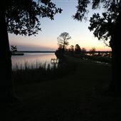 Harrietta Plantation 2017 - Mid December - Central  Dikes