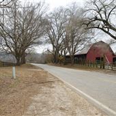 Caroland Farms