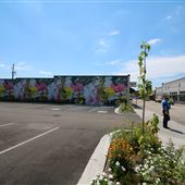 Lake City - Saul Street