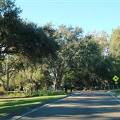 Daniel Island - Island Park Drive 1