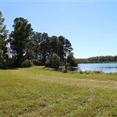 Woodlands Nature Reserve