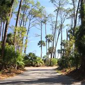 Hunting Island - Pine and Lagoon Trails