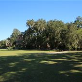Middleton Place - Greensward