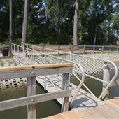 Bellinger Island Nature Trail - Daniel Island