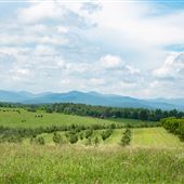 Chattooga Belle Farm