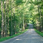 Callahan Mountain Road