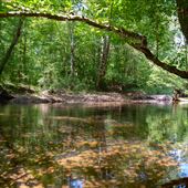 Saluda River Fishing Access
