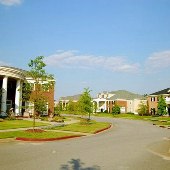 University of SC - Greek Village