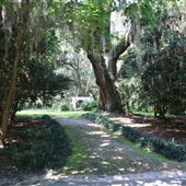 Charles Towne Landing - Wedding Field