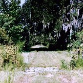 Brookland Plantation Rd