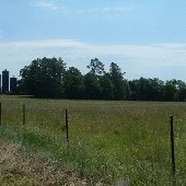 Wherry Road Silos