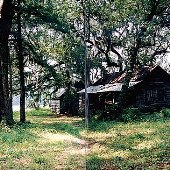 Tooten Road (near Parkers Ferry)
