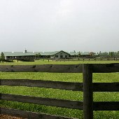 Barrington Polo Club