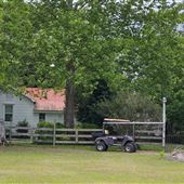 Muckenfuss Stables